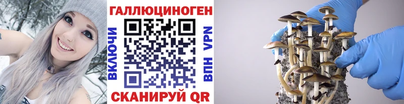 Псилоцибиновые грибы Psilocybine cubensis  Жиздра 